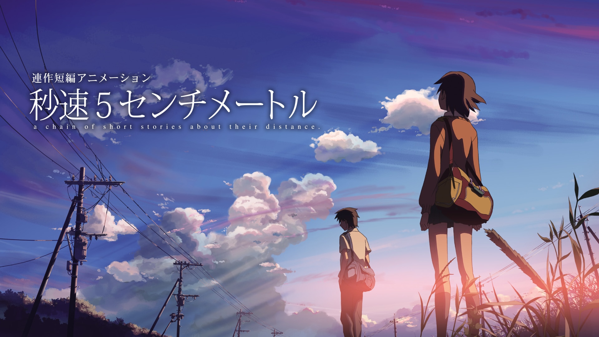 秒速5センチメートル a chain of short stories abo… 71yk41gAhNL._UF350,350_QL50_.jpg