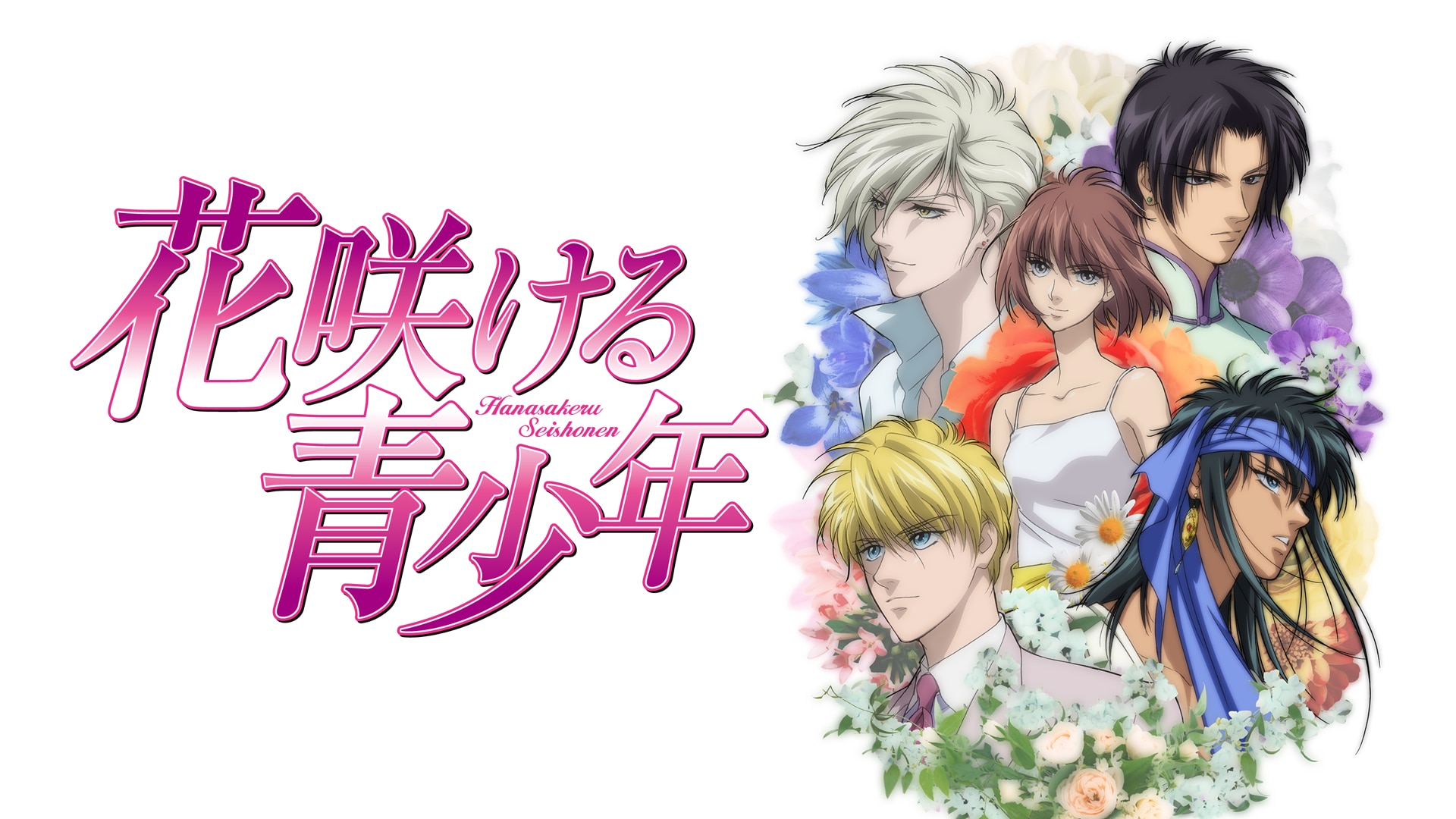 花咲ける青少年 全13巻セット DVD Amazon.co.jp: 花咲ける青少年 全13巻セット[マーケットプレイス DVD