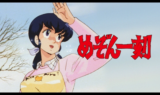 めぞん一刻