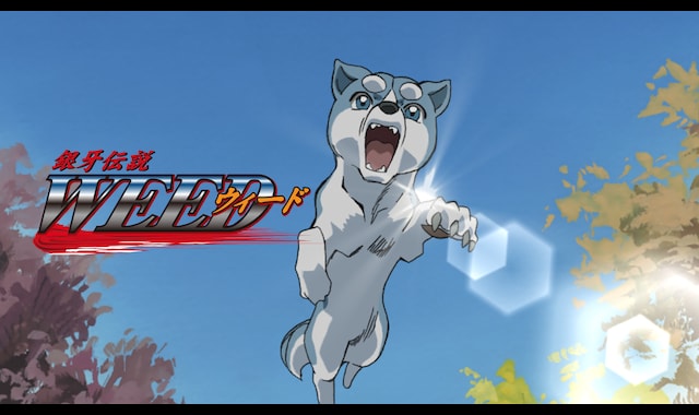 銀牙伝説ウィード | バンダイチャンネル|初回おためし無料のアニメ