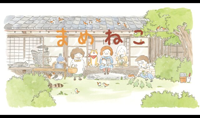 ⭐️ まめねこ ⭐️ まめねこ | バンダイチャンネル｜最新作から不朽の名作まで