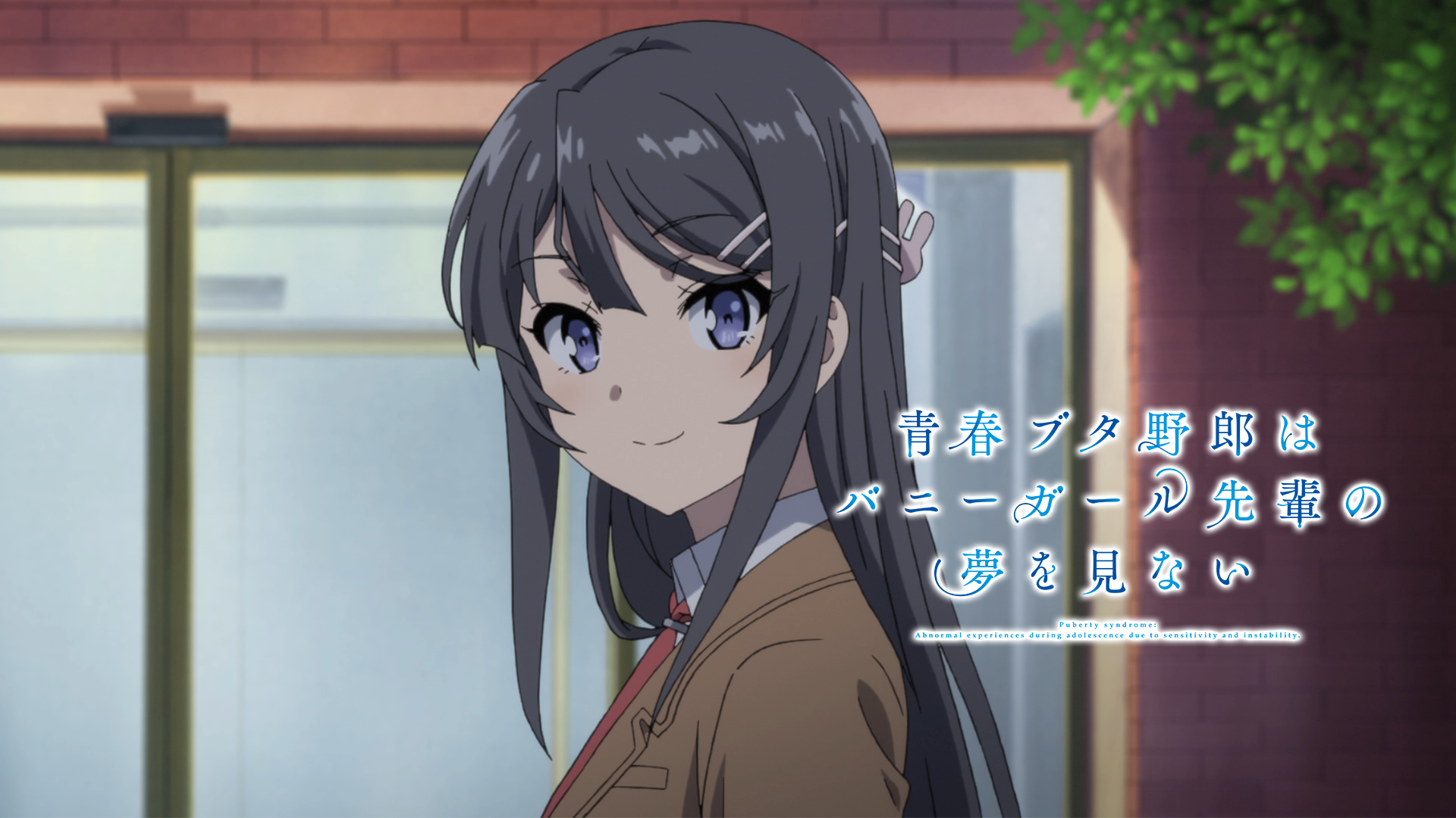 青春ブタ野郎はバニーガール先輩の夢を見ない 1～9巻 鴨志田