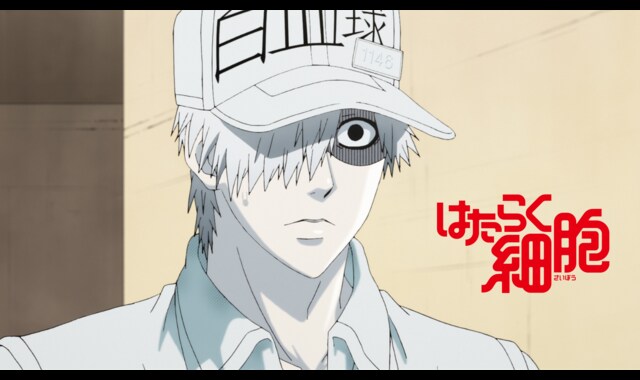はたらく細胞 特別編 風邪症候群 バンダイチャンネル 初回おためし無料のアニメ配信サービス
