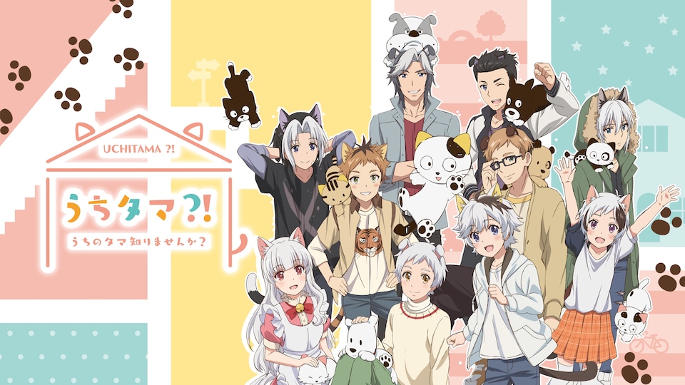 うちタマ?! ~うちのタマ知りませんか?~ | バンダイチャンネル|最新作から不朽の名作までアニメ・特撮作品を配信中! うちタマ?! ~うちのタマ知りませんか?~ | バンダイチャンネル|最新作から不朽の名作までアニメ・特撮作品を配信中!