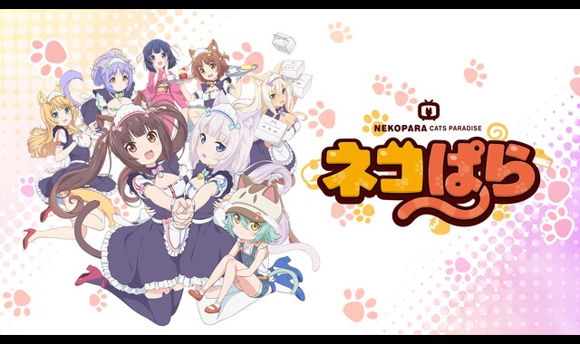 ネコぱら 