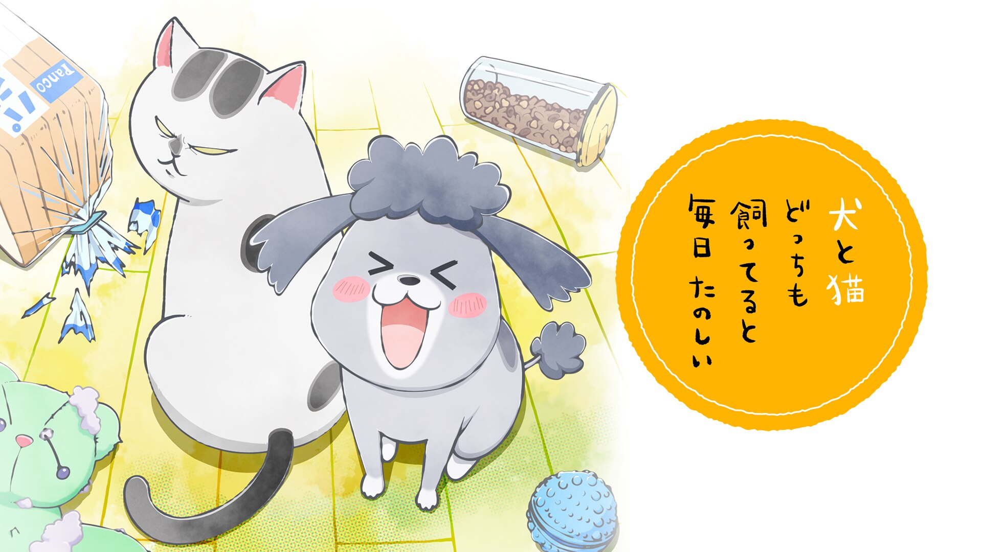 犬猫どんとこいBIG風呂敷付き 犬と猫どっちも飼ってると毎日