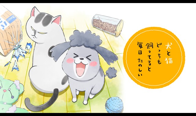 犬と猫どっちも飼ってると毎日たのしい 3 犬と猫どっちも飼ってると毎日たのしい（3）犬猫くつしたセット