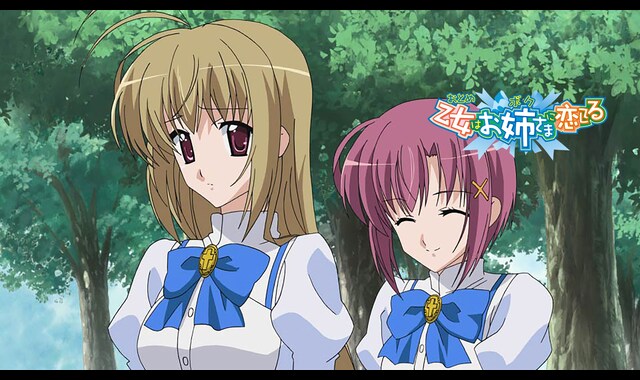 乙女はお姉さまに恋してる 