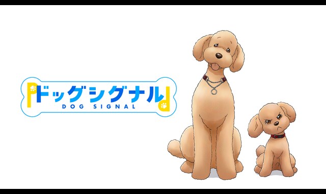 ドッグシグナル 