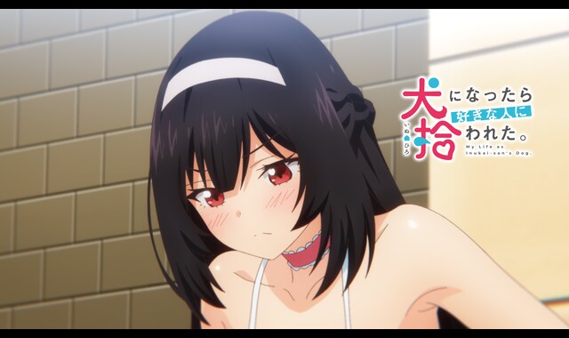 osaru333jpさん専　 犬になったら好きな人に拾われた。 犬になったら好きな人に拾われた。 OVA ＃13～＃14（放送版