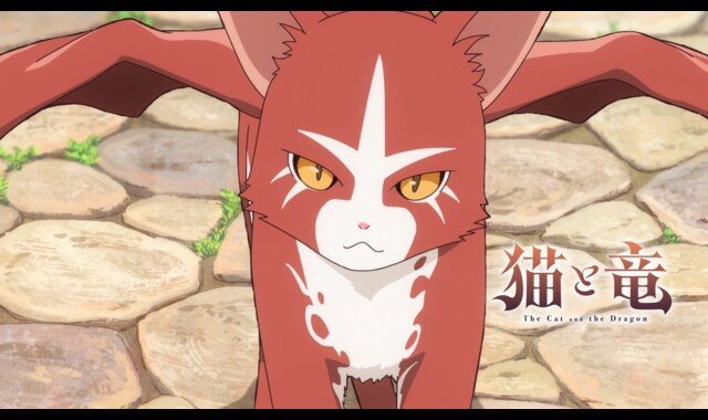 猫と竜 