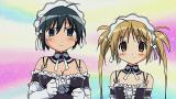 これが私の御主人様