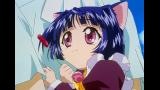魔法少女猫たると