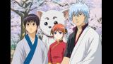 銀魂 （3年目）