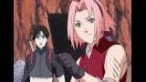 NARUTO-ナルト- 疾風伝　サスケ再会編