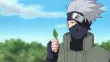 NARUTO-ナルト- 疾風伝　守護忍十二士編