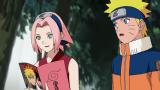 NARUTO-ナルト- 疾風伝　ペイン来襲編