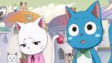 『フェアリーテイル』（前シリーズ）