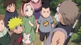 NARUTO-ナルト- 疾風伝　忍界大戦編(3)