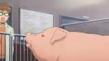 銀の匙 Silver Spoon（第1期）