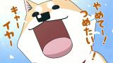 テレビアニメいとしのムーコ
