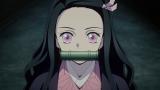 テレビアニメ「鬼滅の刃」竈門炭治郎 立志編