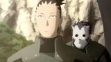 NARUTO-ナルト- 疾風伝　外伝編
