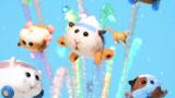 PUI PUI モルカー