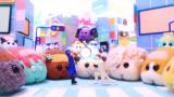 PUI PUI モルカー