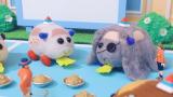 PUI PUI モルカー DRIVING SCHOOL