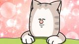 まめきちまめこニートの日常