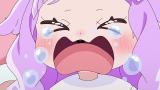 ひろがるスカイ！プリキュア