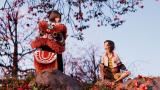 雄獅少年／ライオン少年（日本語吹替版）