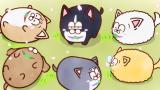 まついぬ