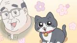 ねこに転生したおじさん