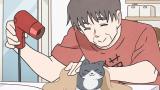 ねこに転生したおじさん