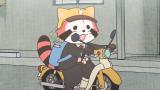 あらいぐま カルカル団