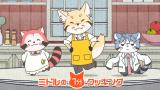 あらいぐま カルカル団