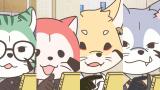 あらいぐま カルカル団