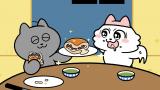 ンめねこ