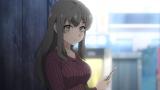 青春ブタ野郎はサンタクロースの夢を見ない