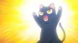 黒猫と魔女の教室