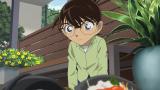 名探偵コナン　第31シーズン