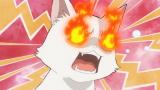 猫と竜