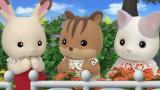 シルバニアファミリー フレアのカラフル・エブリデイ