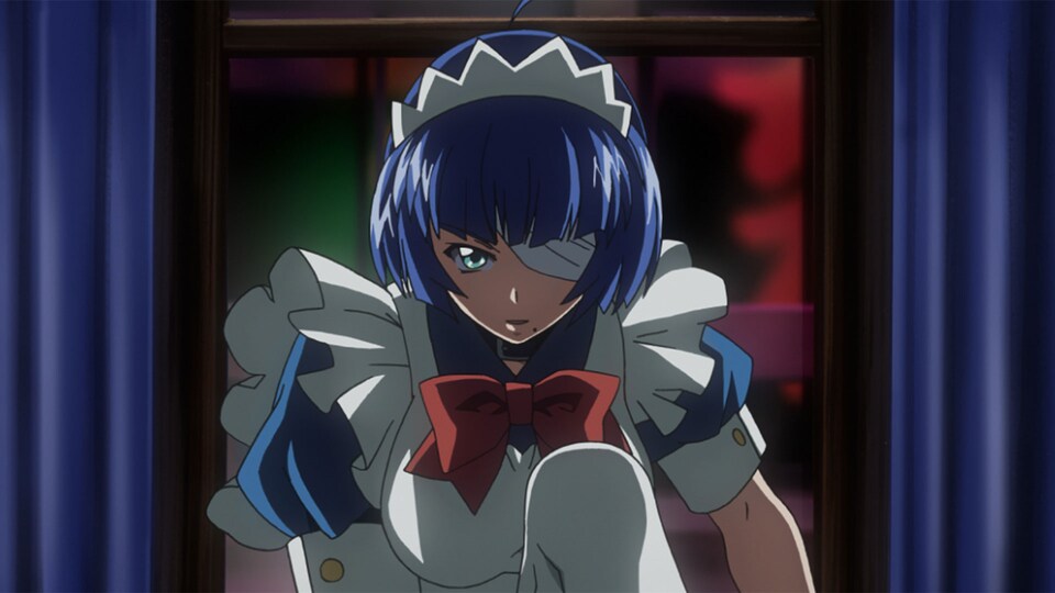 一騎当千 Dragon Destiny | バンダイチャンネル｜最新作から不朽の名作  