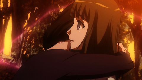 夏のあらし バンダイチャンネル 初回おためし無料のアニメ配信サービス