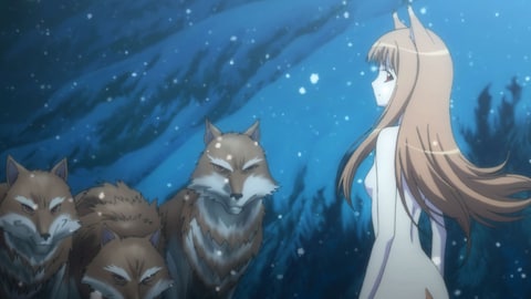 狼と香辛料 バンダイチャンネル 初回おためし無料のアニメ配信サービス