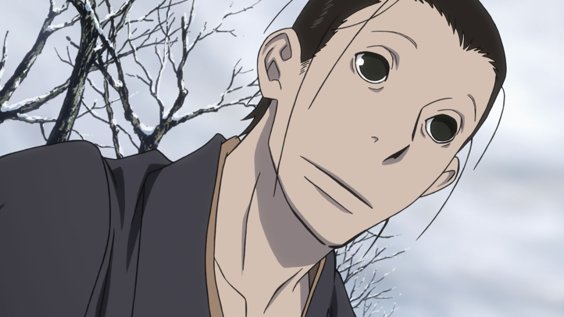 22モデル 画帖 さらい屋五葉 オノ ナツメ 著 Catalasarenas Com