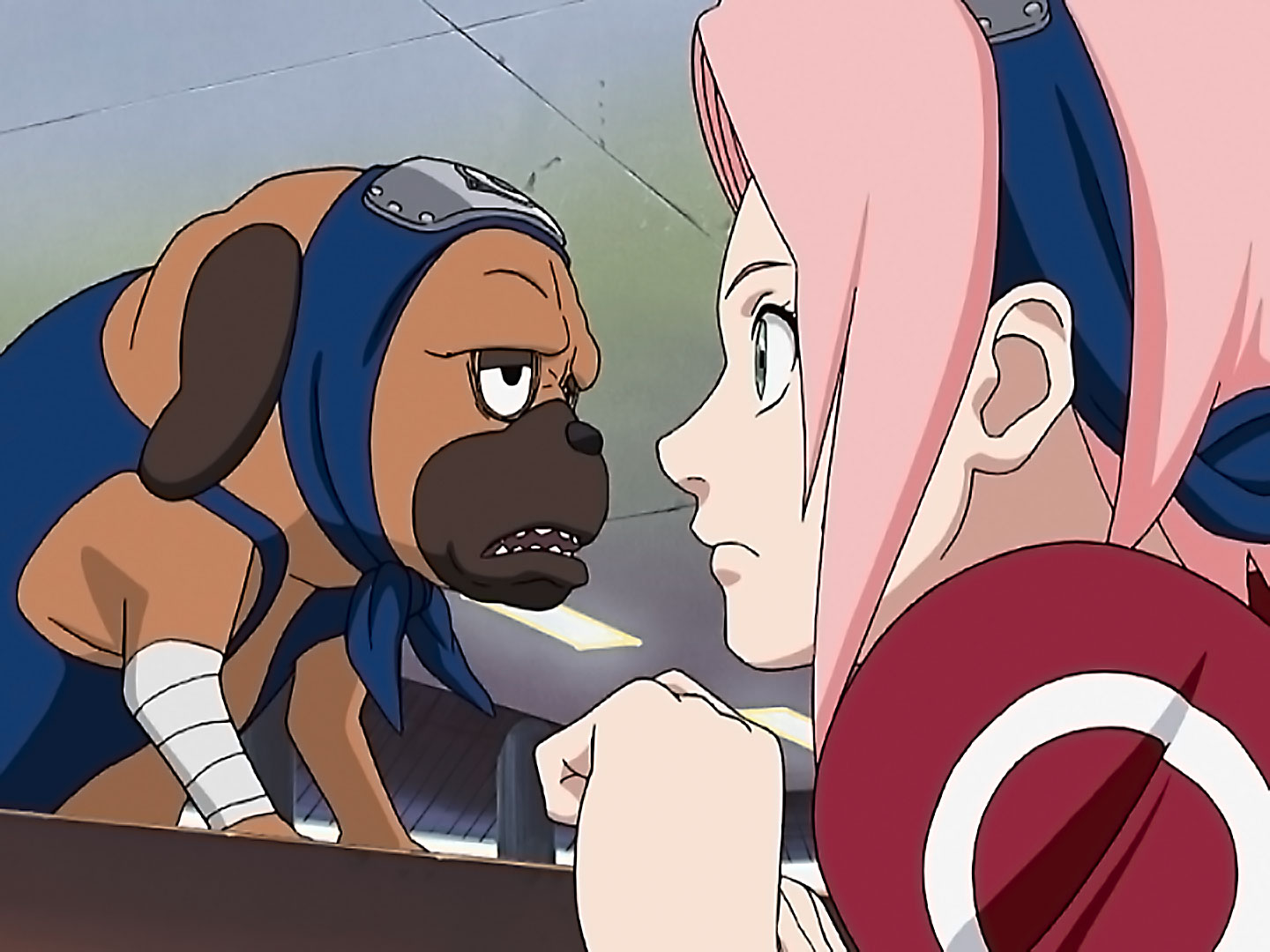 NARUTO疾風伝　少しむかしむかしの木の葉隠れの里だってばよ　九喇嘛 Amazon | MEGA CAT PROJECT NARUTO -ナルト- 疾風伝 ニャルト